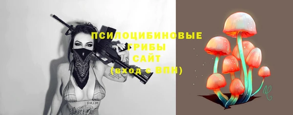 соль ск Алексин