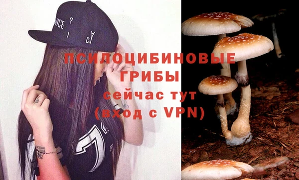 spice Арсеньев