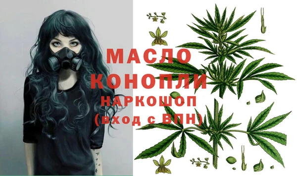 соль ск Алексин