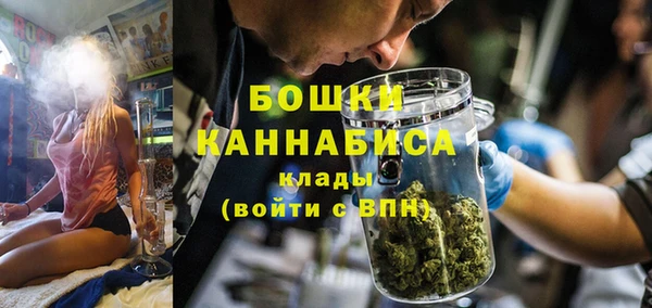 крисы Армянск